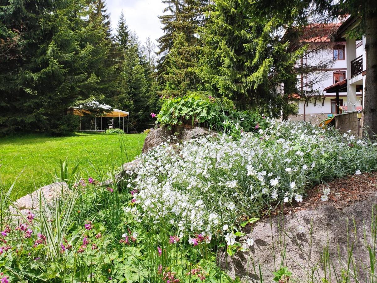 "Моето Любимо Място", Смолянски Езера - "My Favorite Place", Smolyan Lakes מראה חיצוני תמונה